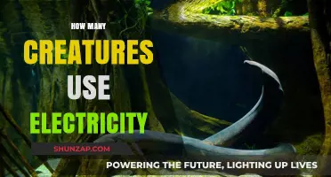 Electric Wonders: Exploring Creatures That Harness Electricity in Nature