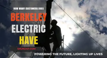 Electric Customers in Berkeley: A Count and Community Impact