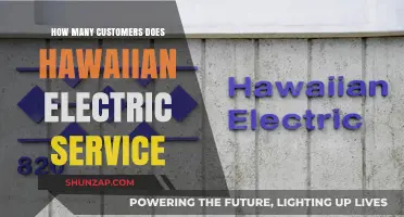 Hawaiian Electric: Powering Millions of Customers and Counting
