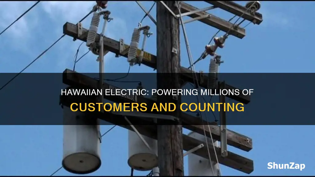 how many customers does hawaiian electric service