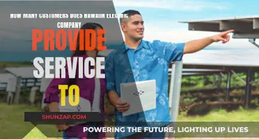 Hawaiin Electric Company: Powering Thousands of Customers' Homes and Businesses