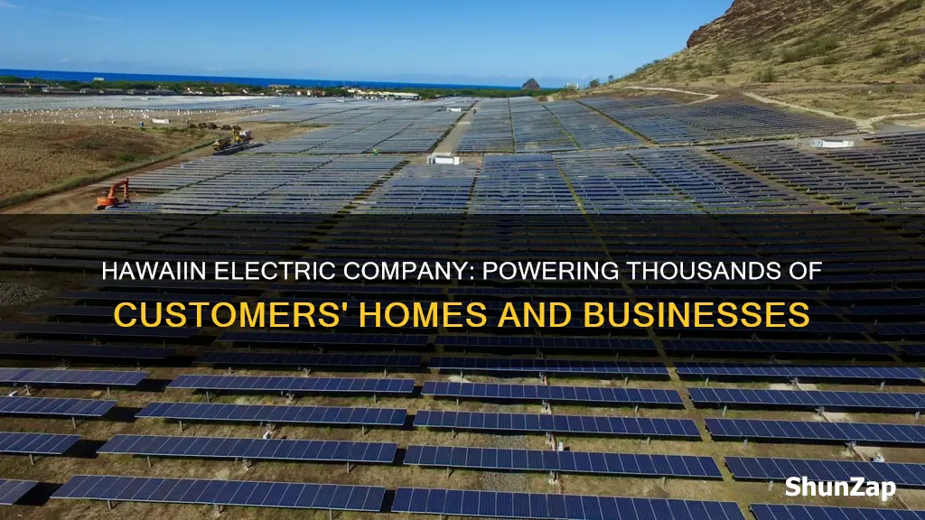 how many customers does hawaiin electric company provide service to