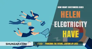 Helen Electricity: Customer Base and Insights