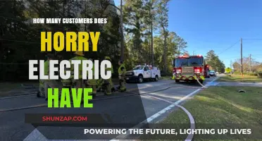 Electric Customers in Horry: How Many Are There?