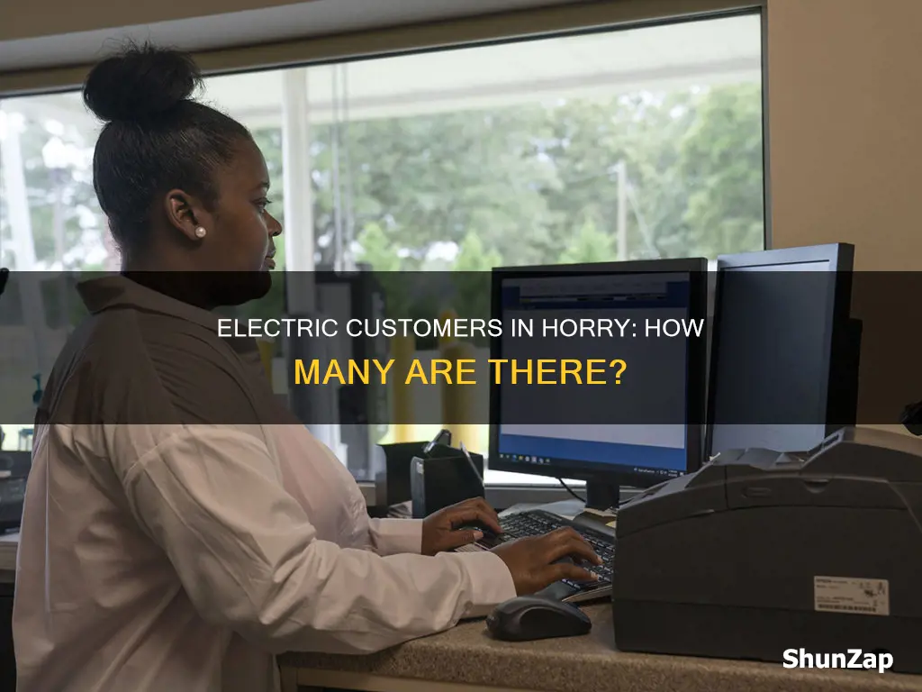 how many customers does horry electric have