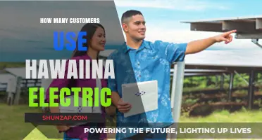 How Many Customers Rely on Hawaiian Electric for Power?