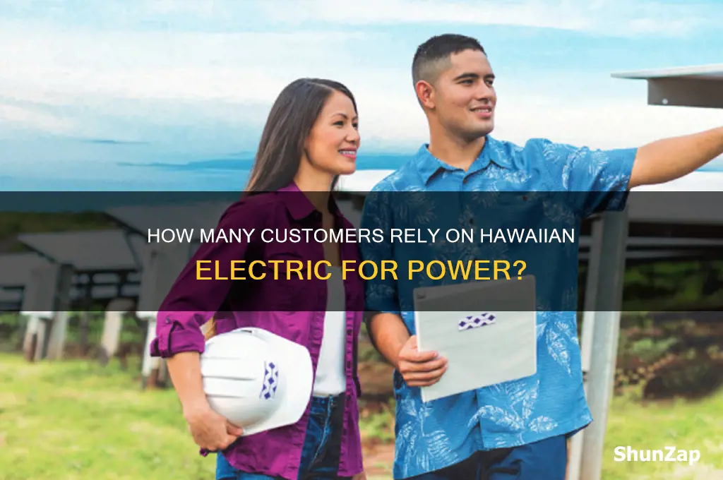 how many customers use hawaiina electric