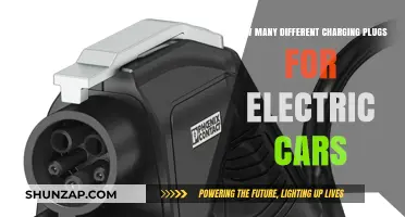 Exploring the Variety of Electric Vehicle Charging Plug Types