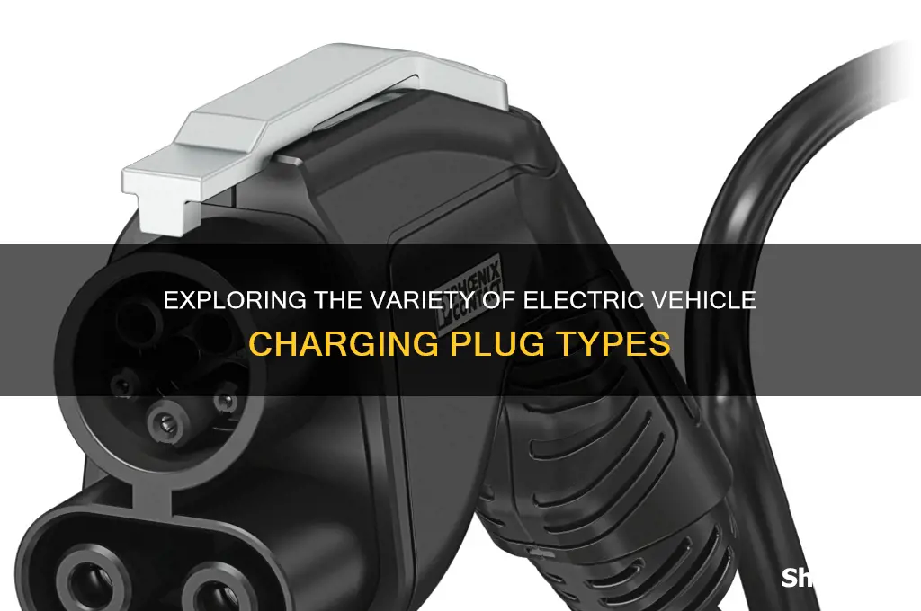 how many different charging plugs for electric cars