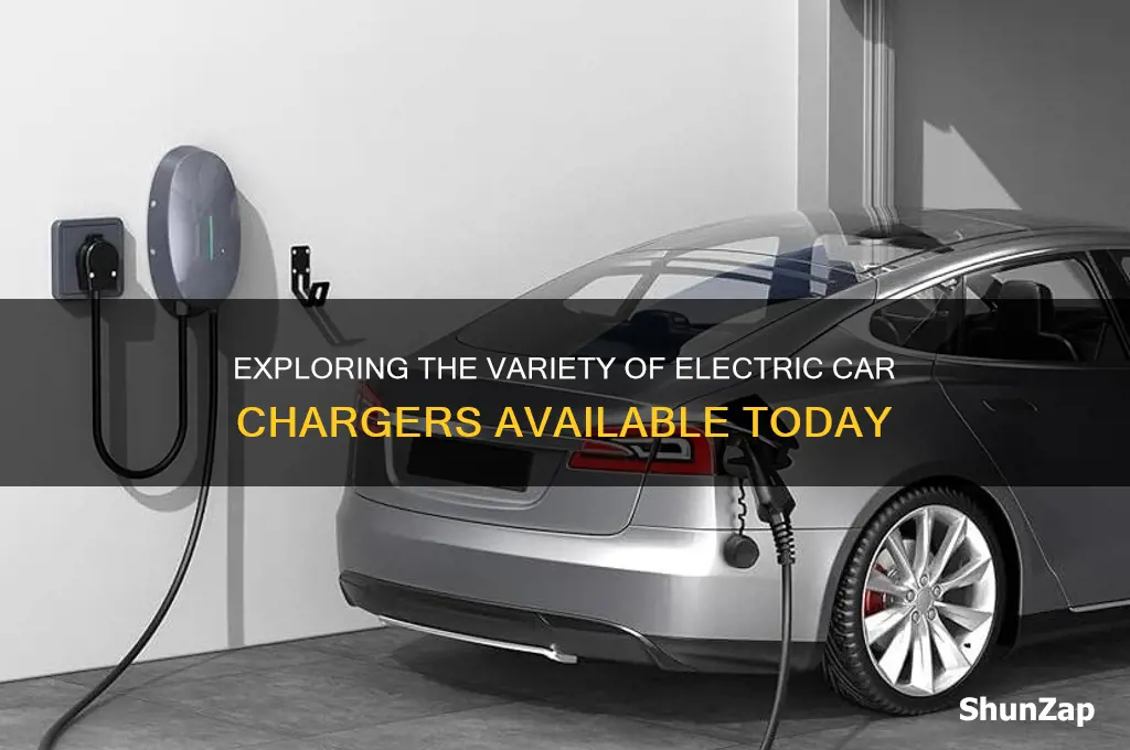 how many different electric car chargers are there