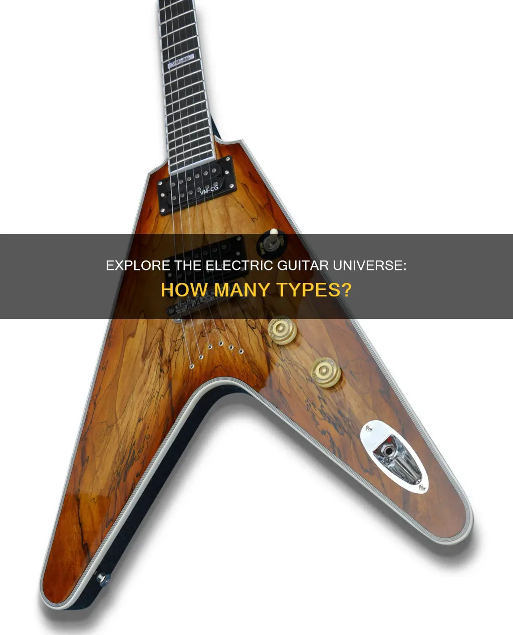 how many different electric guitars are there