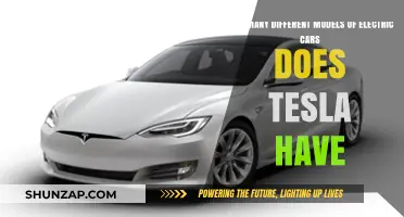 Exploring Tesla's Electric Car Lineup: Models and Variations Available
