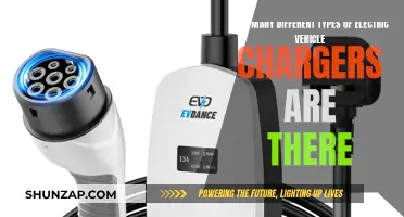 The Evolution of Electric Vehicle Chargers: Types and Variations