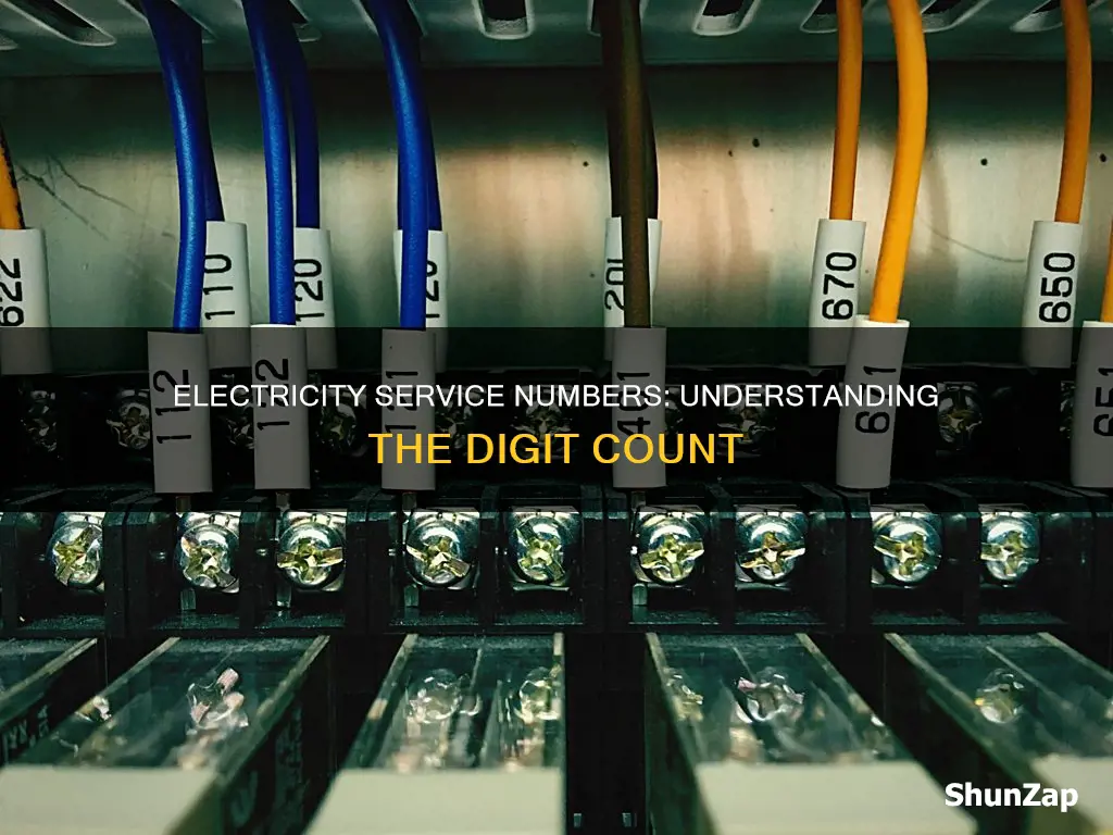 how many digits in electricity service number