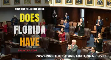Florida's Electoral Votes: What's the Count?