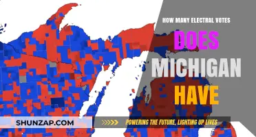 Michigan's Electoral Votes: What's the Count?