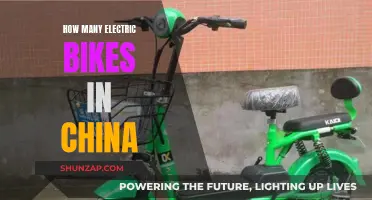 Electric Bike Revolution: China's Staggering Numbers Explained