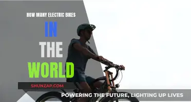 Electric Bikes Globally: Counting the Green Revolution