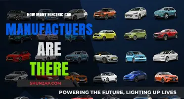 Exploring the Growing List of Electric Car Manufacturers Worldwide