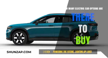 Exploring the Growing Electric Car Market: Available Options to Purchase