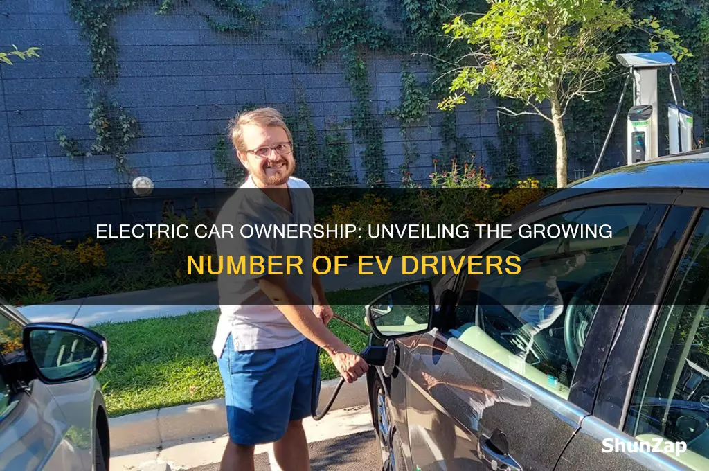 how many electric car owners are there