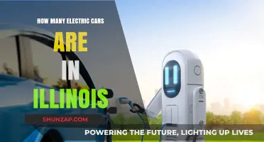 Electric Vehicles in Illinois: Current Numbers and Growth Trends