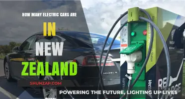 Electric Cars in New Zealand: Current Numbers and Growth Trends
