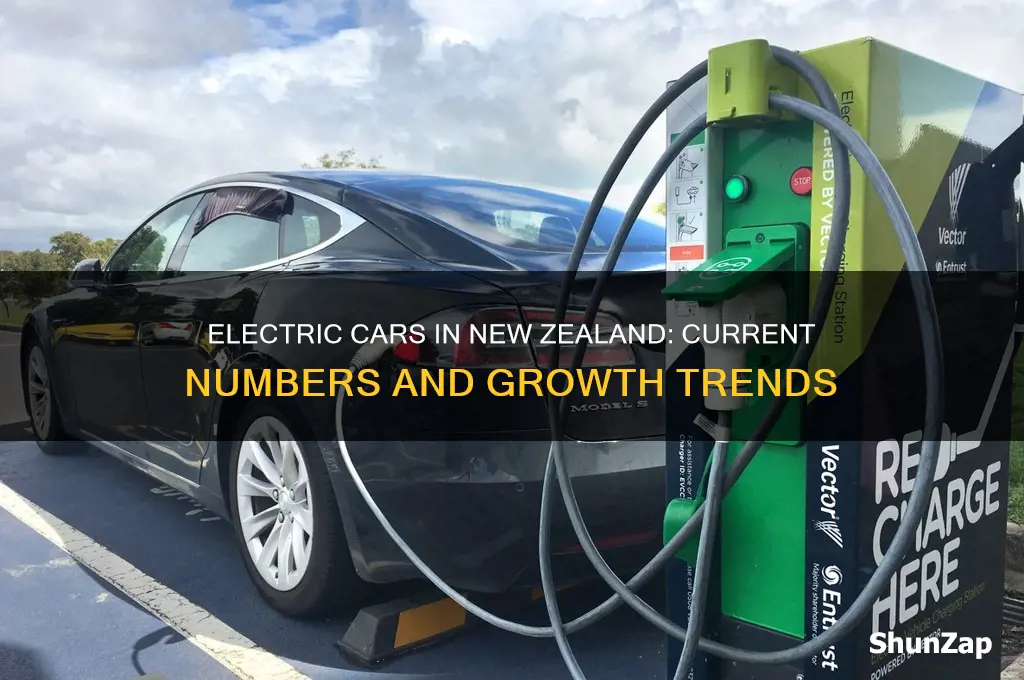 how many electric cars are in new zealand