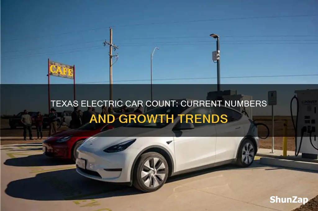 how many electric cars are in texas