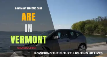Vermont's Electric Vehicle Revolution: Counting the Green Cars on the Road