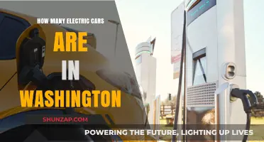 Electric Cars in Washington: Current Numbers and Growth Trends