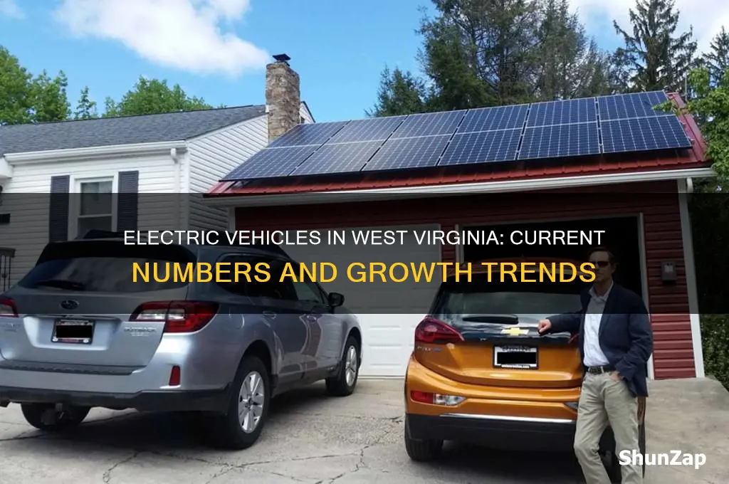 how many electric cars are in west virginia