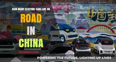 China's Electric Vehicle Revolution: Counting EVs on the Road