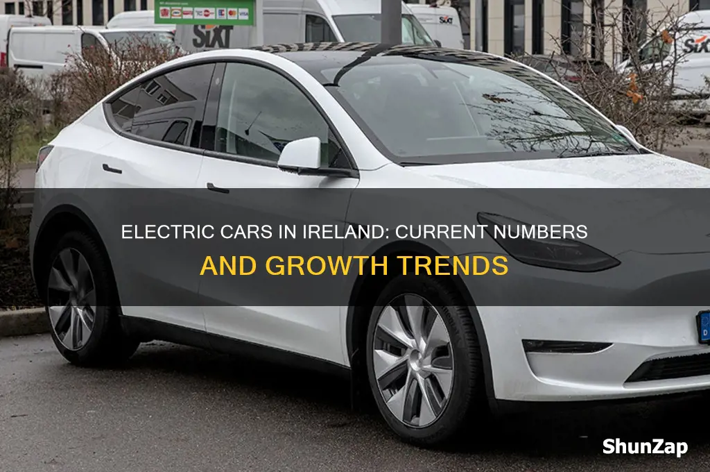 how many electric cars are on the road in ireland