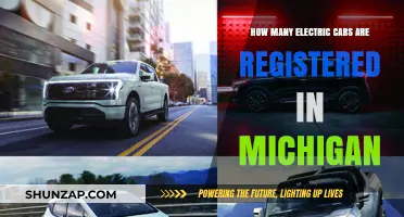 Michigan's Electric Vehicle Growth: Registered EV Numbers Revealed