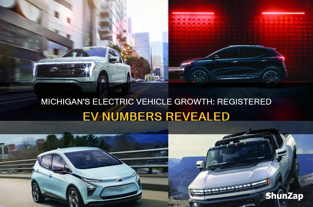 how many electric cars are registered in michigan