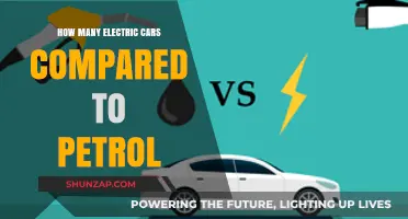 Electric vs Petrol: Analyzing the Growing Shift in Global Car Sales