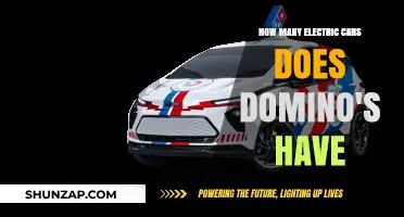 Domino's Electric Fleet: How Many Green Vehicles Deliver Your Pizza?
