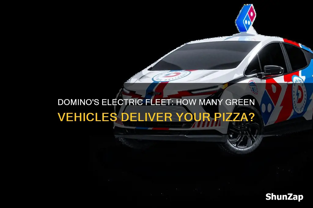 how many electric cars does domino