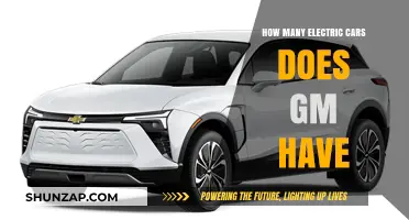 GM's Electric Vehicle Lineup: Exploring Their Growing EV Portfolio