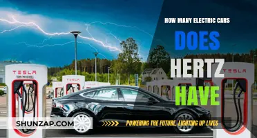 Hertz's Electric Fleet: How Many EVs Are on the Road?