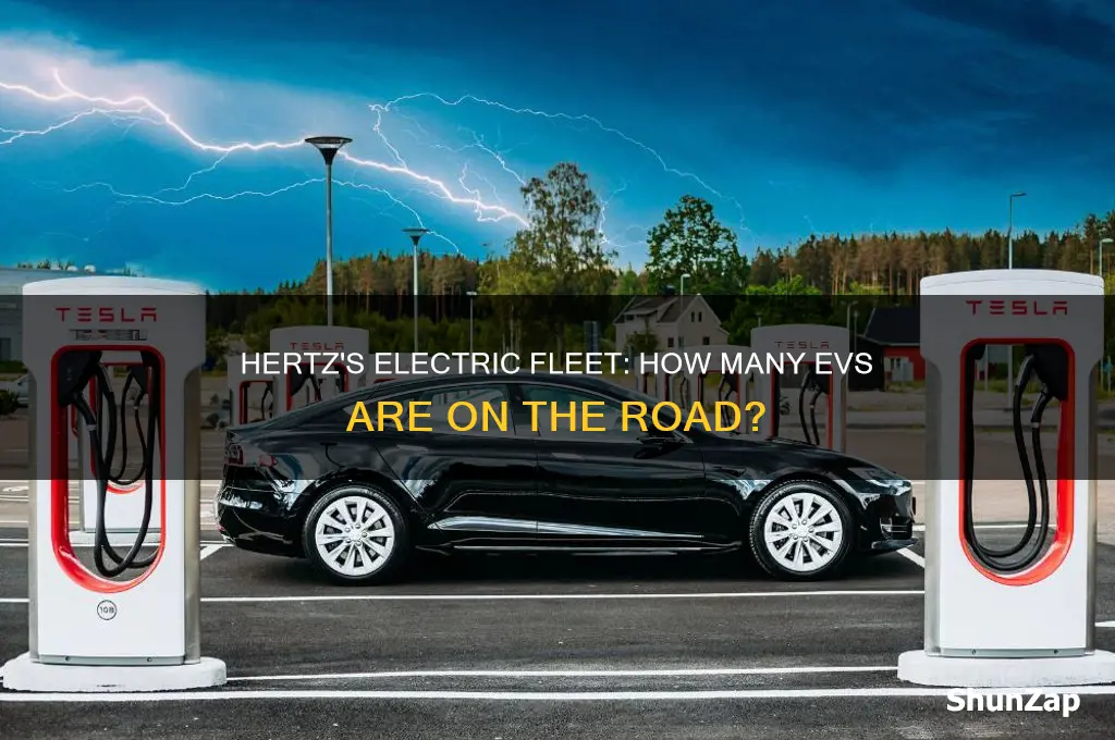 how many electric cars does hertz have