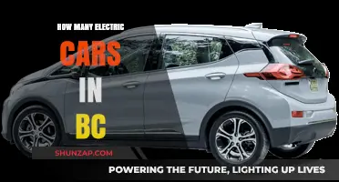 Electric Cars in BC: Current Numbers and Future Growth Trends