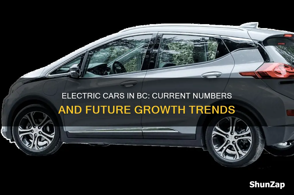 how many electric cars in bc