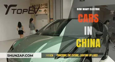 China's Electric Vehicle Boom: Counting the Cars on the Road