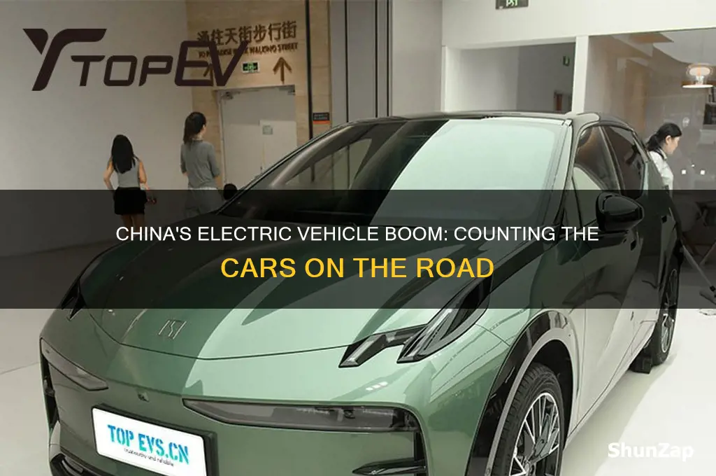 how many electric cars in china