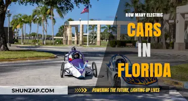 Florida's Electric Vehicle Revolution: Counting the Growing Number of EVs
