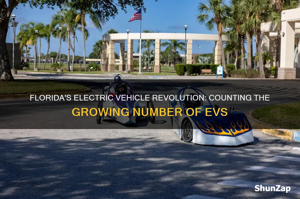 how many electric cars in florida