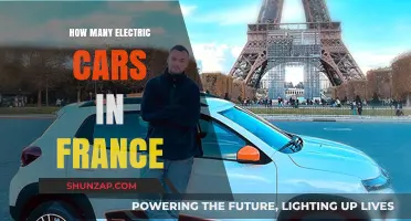 Electric Cars in France: Current Numbers and Growth Trends