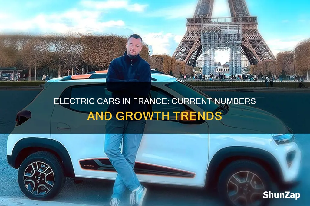 how many electric cars in france